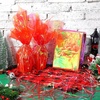 image:imageOutus Iridescent Cellophane Film Rainbow Cellophane Wrapping DIY Craft Decorations for Gift Baskets Fairy Butterfly Supply Party Festival celebrations 39 x 138 InchPinkRed