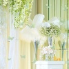 image:imageOutus 120 Pieces 3D Layered Butterfly Wall Decor  Removable Butterfly Stickers Hollow Mural Decals for Birthday Cake Decorations Crafts Bouquet Flower ArrangementsSage Green