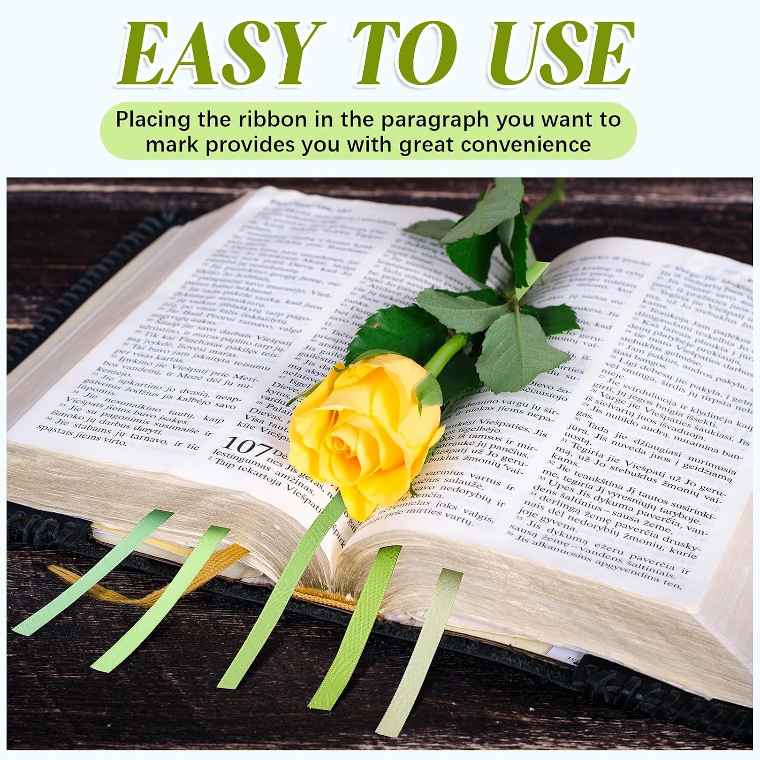 image:imageOutus Bible Ribbon Bookmarks Leather TagSimpleBlackMorandi