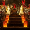 image:imageOutus 24 Pcs Luminaries Paper Bags with LED Tea Lights Pumpkin ExpressionPumpkin Expression