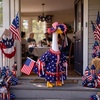 image:imageOutus Beekeeper Goose Outfit Set Bee Goose Clothes for 23 Statue4th of July