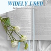 image:imageOutus Bible Ribbon Bookmarks Leather TagSimpleBlackMorandi