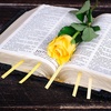 image:imageOutus Bible Ribbon Bookmarks Leather TagSimpleBlackPurple