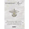 image:imageGanz Pin  Guardian Angel This guardian angel watches over you each day with loving care and gently guides your way
