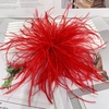 image:imageElegant Extra Large Feather Flower Brooch Pin for Women Men Fashion Oversized Floral Lapel Pins Shawl Dress Suit Suit Ceremony Clothes Accessories Dance Banquet Wedding Party Jewelry 300mmRed