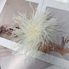 image:imageElegant Extra Large Feather Flower Brooch Pin for Women Men Fashion Oversized Floral Lapel Pins Shawl Dress Suit Suit Ceremony Clothes Accessories Dance Banquet Wedding Party Jewelry 300mmBeige