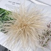 image:imageElegant Extra Large Feather Flower Brooch Pin for Women Men Fashion Oversized Floral Lapel Pins Shawl Dress Suit Suit Ceremony Clothes Accessories Dance Banquet Wedding Party Jewelry 300mmLight Khaki
