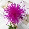 image:imageElegant Extra Large Feather Flower Brooch Pin for Women Men Fashion Oversized Floral Lapel Pins Shawl Dress Suit Suit Ceremony Clothes Accessories Dance Banquet Wedding Party Jewelry 300mmHot Pink