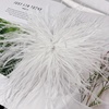 image:imageElegant Extra Large Feather Flower Brooch Pin for Women Men Fashion Oversized Floral Lapel Pins Shawl Dress Suit Suit Ceremony Clothes Accessories Dance Banquet Wedding Party Jewelry 300mmWhite