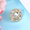 image:imageGold Crystal Brooch Champagne Gold Small Brooches Pin for Women Vintage Diamante Elegant Brooches for Clothes Sweater Coat Scarves Dress Wedding BridalWhite Gold
