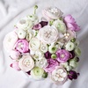 image:imageHINZIC 45pcs Rhinestone Pearl Buttons 9 Styles Flat Back Faux Pearl ButtonGold Silver 40pcs 10style