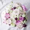 image:imageHINZIC 45pcs Rhinestone Pearl Buttons 9 Styles Flat Back Faux Pearl ButtonSILVER GOLD 14pcs 7styles