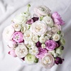 image:imageHINZIC 45pcs Rhinestone Pearl Buttons 9 Styles Flat Back Faux Pearl ButtonWhite 30pcs 15styes