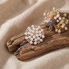 image:imagePearl Brooch 1Pcs Gold Tone Rhinestone Round Brooch Pin Elegant Vintage Brooches for Women Dresses Wedding Party Daily Wear