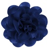 Sapphire Blue