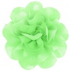Soft Lime Green
