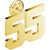 55