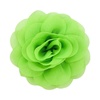 Fluorescent Green