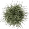image:imageTHARAHT Feather Flower Brooch Pin 150mm Elegant Floral Lapel Pin for Women Men Suit Dress Shawl Accessory for Wedding Party Banquet Dance Banquet Fashion Jewelry Clothes AccessoriesOlive Green