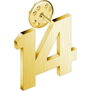 image:imageAMITER Personalized 0100 Number Lapel Pins 18K Gold Brooch Pin Tie Tacks for Suits Neckties Hats Men amp Women14