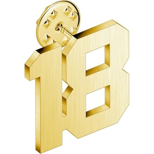 image:imageAMITER Personalized 0100 Number Lapel Pins 18K Gold Brooch Pin Tie Tacks for Suits Neckties Hats Men amp Women18