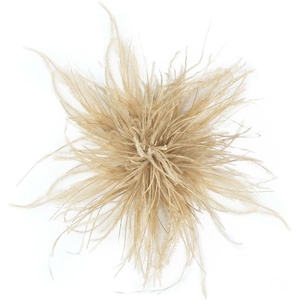 image:imageElegant Extra Large Feather Flower Brooch Pin for Women Men Fashion Oversized Floral Lapel Pins Shawl Dress Suit Suit Ceremony Clothes Accessories Dance Banquet Wedding Party Jewelry 300mmLight Khaki