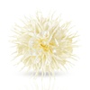 image:image709 Dainty Satin Large Flower Brooches for Women  Elegant Floral Brooch Pins for Women  Delicate Hair Clips amp Fabric Flower Pins for Clothes  Flowers for Dresses amp Wedding Hair AccessoriesPinkBeige