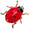 image:imageRhinestone Ladybug Brooch Pins for Women Men Cartoon Enamel Beetle Red Black Insect Seven Star Animal Chic Crystal Lapel Pin for Wedding Christmas Party Hat Bag Suit Dress Clothes Trendy Accessories1 ladybug