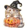 image:imagecoadipress Halloween Witch Cat Brooch Pin PumpkinMulticolor