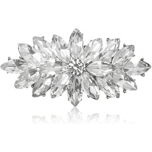 image:imageNIIIYTYB Rhinestone Brooch Pin Corsage Crystal Diamond Brooches for Women Large Silver Broach Pins for Dress Outfits Sparkling Fashion Corsage and Elegant Wedding Festival Jewelry Accessory