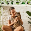image:image3060 Pcs Cute Enamel Pins Bulk Lapel BroochBlack Cat