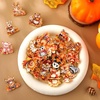 image:image3060 Pcs Cute Enamel Pins Bulk Lapel BroochFall