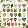 image:image3060 Pcs Cute Enamel Pins Bulk Lapel BroochLeaves