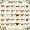 image:image3060 Pcs Cute Enamel Pins Bulk Lapel BroochMoth