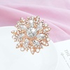 image:imageEzing 4 Pieces Lot Large Big Silver Gold Plated Assorted Crystal Rhinestones Brooch Pins SetD