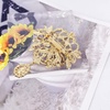 image:imageLAXPICOL Wedding Bridal Big Brown Crystal Rhinestone Bouquet Brooch Pin for Women Golden Tonegold