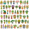 Potted Plant