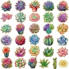 Succulent Cactus