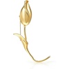 Gold Tulip Bud