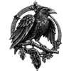 image:imageGothic Celtic Raven Brooch  Dark Academia Statement Pin Celtic Jewelry Crow Crescent Goth Emo Punk Accessories Norse Raven TalismanB  Silver