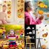 image:imageOutus 60 Pcs Fall Bulletin Board Cutouts Autumn Leaf Cutouts Stylish StyleFresh Style