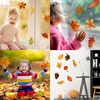 image:imageOutus 60 Pcs Fall Bulletin Board Cutouts Autumn Leaf Cutouts Stylish StyleStylish Style