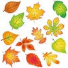 image:imageOutus 60 Pcs Fall Bulletin Board Cutouts Autumn Leaf Cutouts Stylish StyleClassic Style