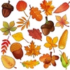 image:imageOutus 60 Pcs Fall Bulletin Board Cutouts Autumn Leaf Cutouts Stylish StyleStylish Style