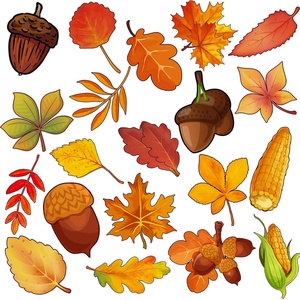 image:imageOutus 60 Pcs Fall Bulletin Board Cutouts Autumn Leaf Cutouts Stylish StyleStylish Style